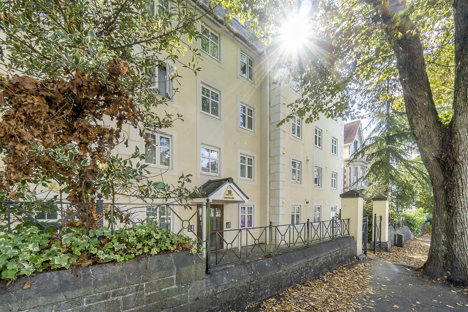 Albert Road, Plymouth DC Lane